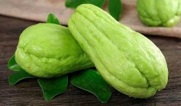 吃瓜糖豆,揭秘甜蜜背后的秘密