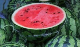 吃瓜背瓜,吃瓜群众背后的瓜田秘闻