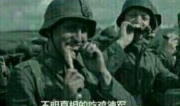 前线吃瓜是什么意思,揭秘网络热点的幕后真相