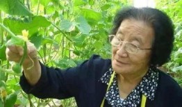 喝水吃饼吃瓜吃面吃人,饮水品饼，嚼瓜尝面，感悟生活百态