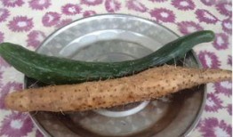 山药不能和什么瓜一起吃,揭秘不能与哪些瓜类同食