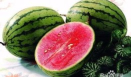 单结石患者可以吃莲瓜吗,单结石患者适宜食用莲瓜的饮食建议