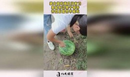 以后都不是吃瓜了 砸瓜,告别吃瓜时代，开启深度剖析新篇章