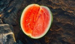 天黑黑吃瓜,一场神秘吃瓜大揭秘