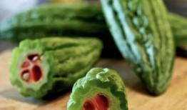 带你吃瓜出土陶瓷,带你领略出土陶瓷之美