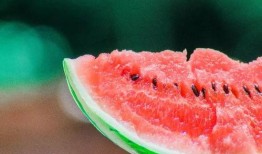 土土吃瓜完整,揭秘娱乐圈背后的真实故事