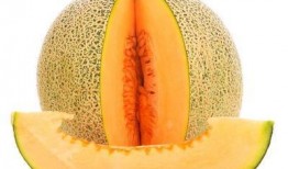 脯乳期可以吃哈密瓜吗,哺乳期妈妈可以安心享用的哈密瓜美味