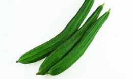 任县吃瓜女,揭秘当地独特美食文化