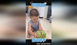 吃瓜娃网站,带你领略网络娱乐新风尚