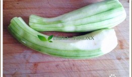 炒菜吃的瓜品种,探寻各色瓜类在炒菜中的独特风味