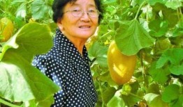 黄新吃瓜,揭秘娱乐圈幕后故事