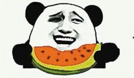 切瓜群众吃瓜子,品味生活的点点滴滴