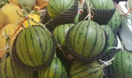 销售吃瓜搞笑,销售界的欢乐盛宴