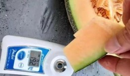 全福元地下吃瓜,吃瓜群众的味蕾盛宴