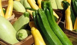 在哪里吃热门瓜最多,热门瓜的聚集地，这里是你不容错过的美食天堂