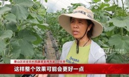 杭州吃瓜姑娘是谁,网络热议背后的真相