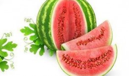 崔庄吃瓜,揭秘乡村生活的酸甜苦辣