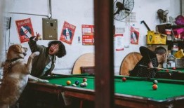 台球室视频吃瓜,一场视频引发的吃瓜盛宴