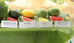 纳爱斯吃瓜,揭秘明星幕后趣事