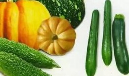 吃瓜群众过期的瓜,那些被遗忘的娱乐圈往事