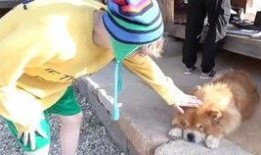 憨憨吃大瓜,趣味横生的欢乐时光