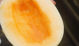 脾虚吃白玉瓜好吗,脾虚者食用白玉瓜的适宜性探讨