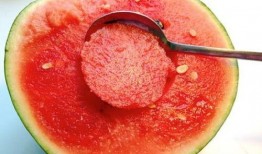 带你吃瓜出土陶瓷,带你领略出土陶瓷之美