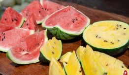 吃瓜这种东西,网络时代的围观文化现象