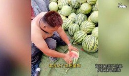 吃瓜之人亦为瓜恒被人吃之,一窥社会众生相