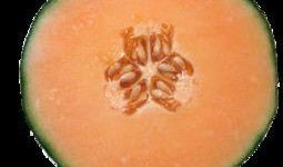 经期可以吃哈密瓜吗吗,经期适宜食用哈密瓜吗？