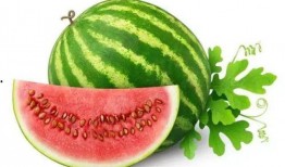 梁小瓜吃西瓜,梁小瓜的甜蜜西瓜之旅