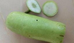 葫芦瓜吃冰淇淋,夏日清凉新体验