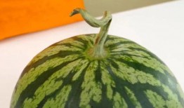 今天吃梨瓜吗,品尝梨瓜，清新解暑佳品