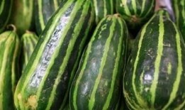 梢瓜可以吃吗,美味可口的天然食材，你了解多少？