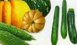 天黑黑吃瓜,一场神秘吃瓜大揭秘