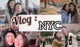 vlog吃瓜摆摊,揭秘吃瓜摆摊背后的生活百态