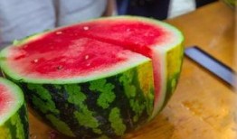 加州学校吃瓜,揭秘校园吃瓜背后的故事