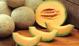 板粟能和哈密瓜一起吃吗,健康美味两不误
