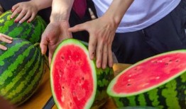 加州学校吃瓜,揭秘校园吃瓜背后的故事