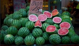 上海滩吃瓜,揭秘滩上吃瓜群众的传奇故事