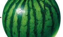 今天吃梨瓜吗,品尝梨瓜，清新解暑佳品