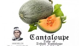 土土吃瓜完整,揭秘娱乐圈背后的真实故事