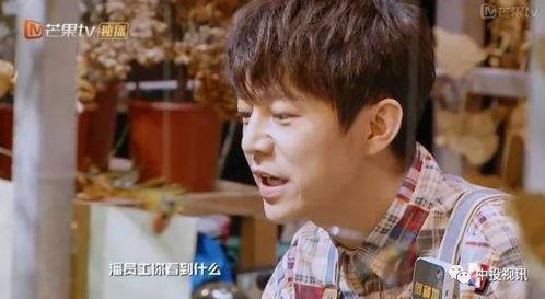 明星大侦探吃瓜搞笑,吃瓜搞笑，揭秘娱乐圈幕后真相