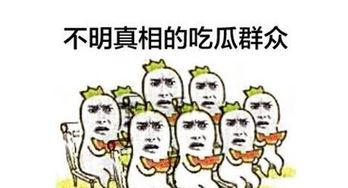 切瓜群众吃瓜子,品味生活的点点滴滴