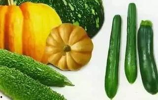 天黑黑吃瓜,一场神秘吃瓜大揭秘